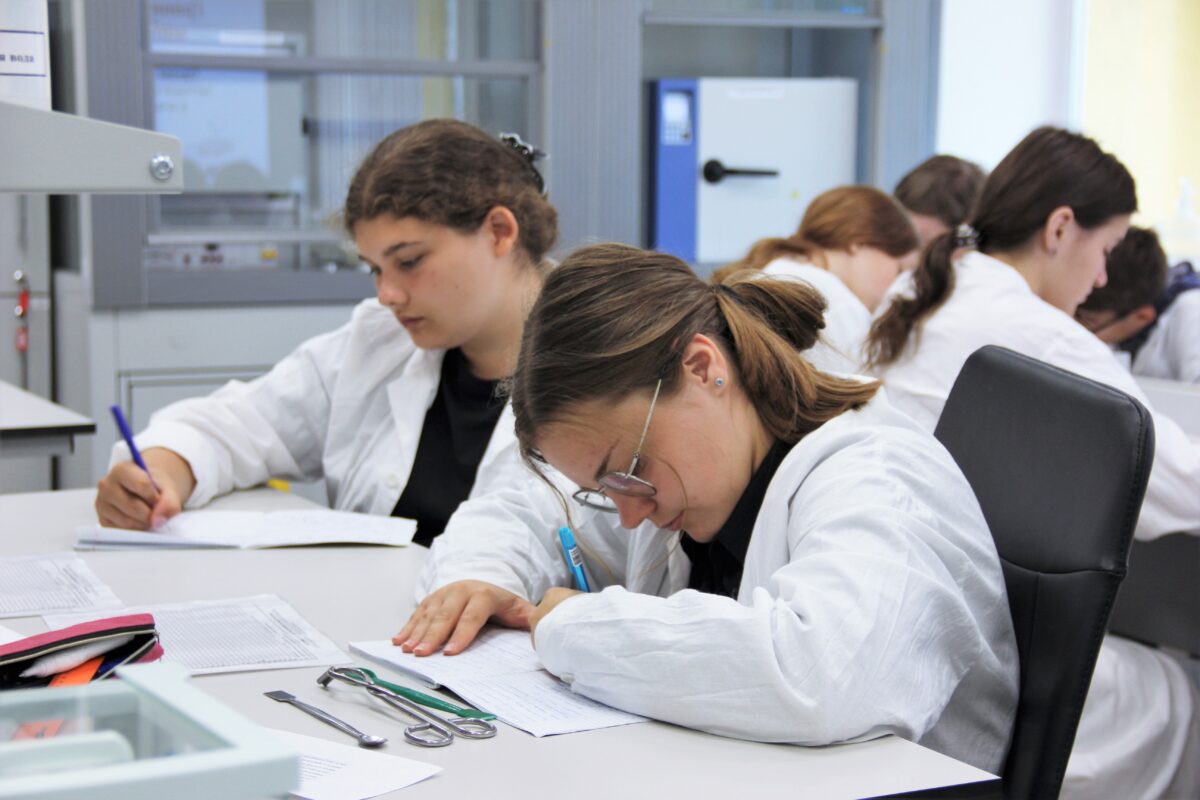 Профильная смена «Образовательная научно-исследовательская программа по химии»