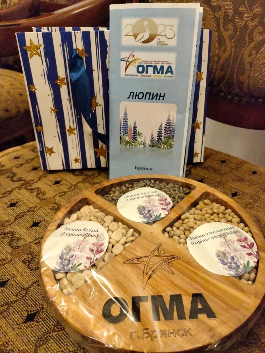 Педагог центра «ОГМА» принимает участие  во Всероссийских педагогических чтениях «Моя страна – моя Россия»