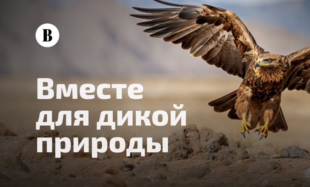 Присоединяйтесь к Всероссийской экологической инициативе «Вместе для дикой природы»!